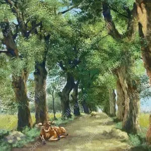 Lối về
