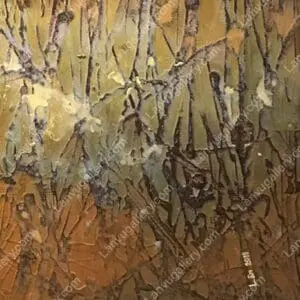 Trong rừng đước
