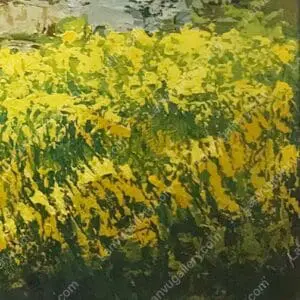 Sắc vàng cao nguyên đá