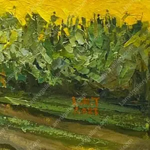 Thu chín 6