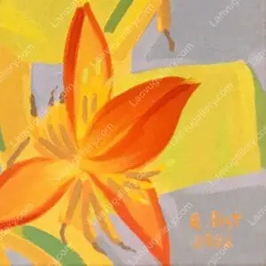 Chiều tím Tây Bắc