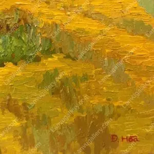 Ngày nắng Tây Bắc