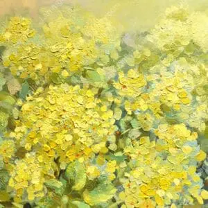 Ánh nắng ngày Xuân 4