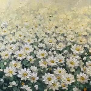 Vườn cúc trắng