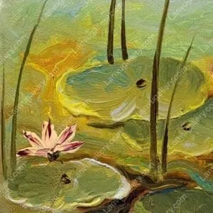 Đầm súng