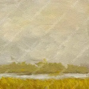 Mùa lúa nước 2