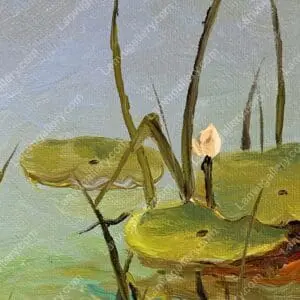 Đầm súng