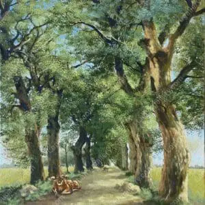 Lối về