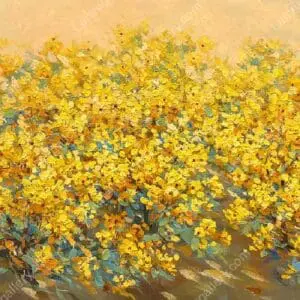 Đồng cải Lệ Chi 2