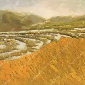 Mùa lúa nước 3