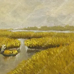 Mùa lúa nước 2