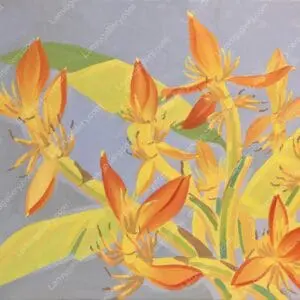 Chiều tím Tây Bắc