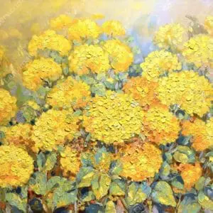 Ánh nắng ngày xuân 10