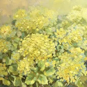 Ánh nắng ngày Xuân 4