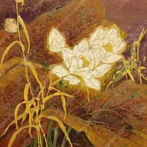 Bạch liên