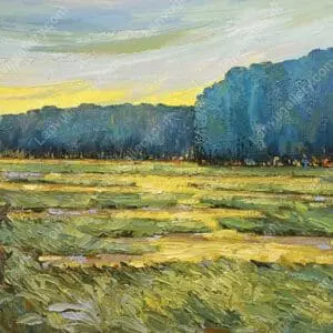 Chớm đông 2
