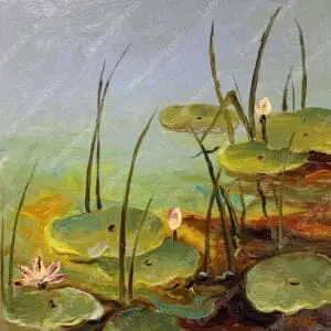 Đầm súng