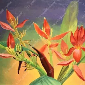 Giai điệu Việt Bắc