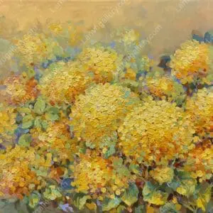 Nắng sớm 24