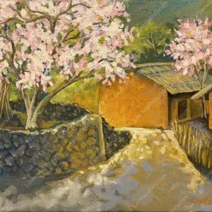 Ngày xuân trên vùng cao