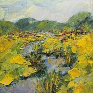 Suối vắng