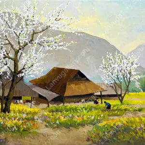 hương sắc vùng cao 4