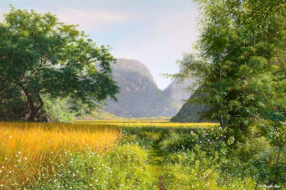 “Mùa vàng ngọc côn” ghi lại khoảnh khắc những thửa ruộng lúa chín vàng lấp ló giữa những ngọn đồi xanh mướt Cre: Internet
