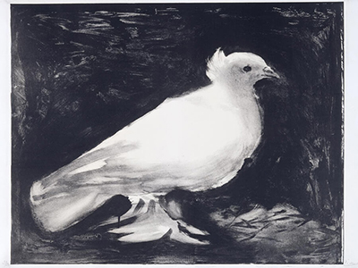  Bức "The Dove" của Picasso